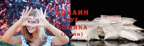 стаф Осинники