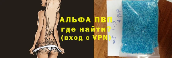 стаф Осинники