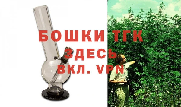 молекула духа Пересвет