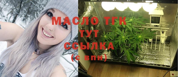 стаф Осинники