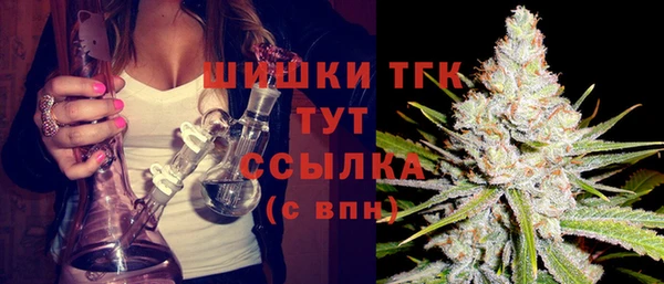 стаф Осинники