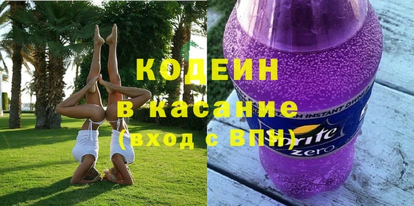 стаф Осинники