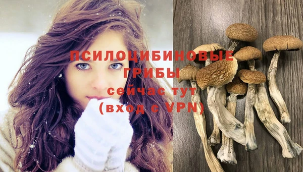гидропоника Алзамай