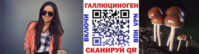 Галлюциногенные грибы Psilocybine cubensis omg tor Алзамай